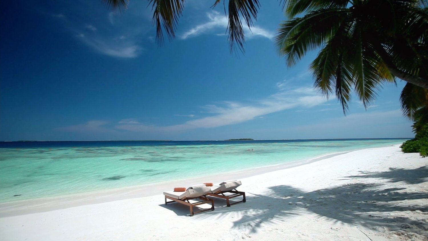 Two lounge chairs on white sand beach with a palm tree.
