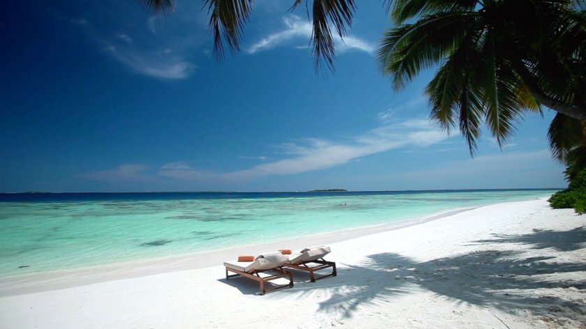 Two lounge chairs on white sand beach with a palm tree.