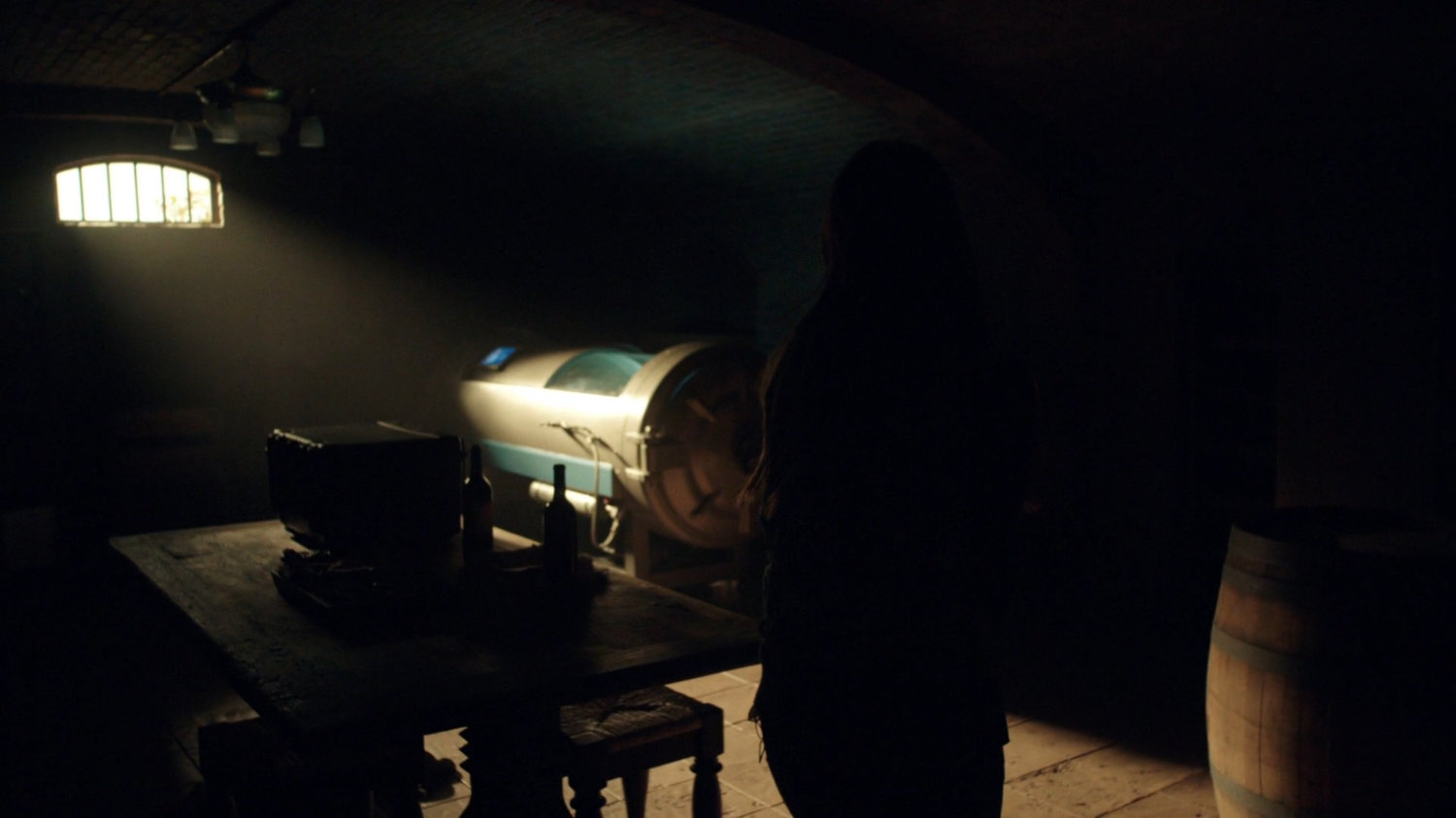 Skye in basement of villa near hyperbaric chamber.