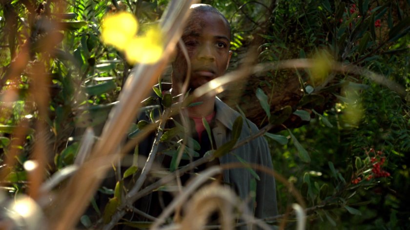 Mike Peterson in bushes watching playground off screen.