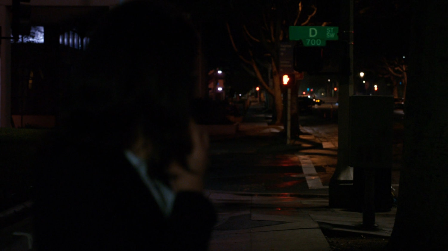 Maria Hill on a Washington DC sidewalk near 700 block of D St SW.