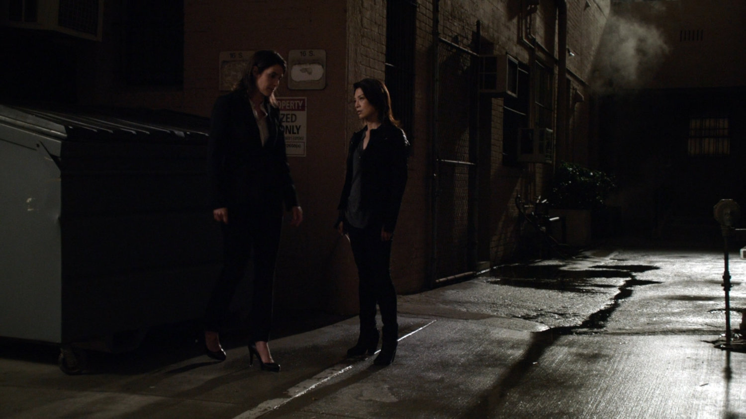 Maria Hill meets Agent May in a dark alley in Washington DC.