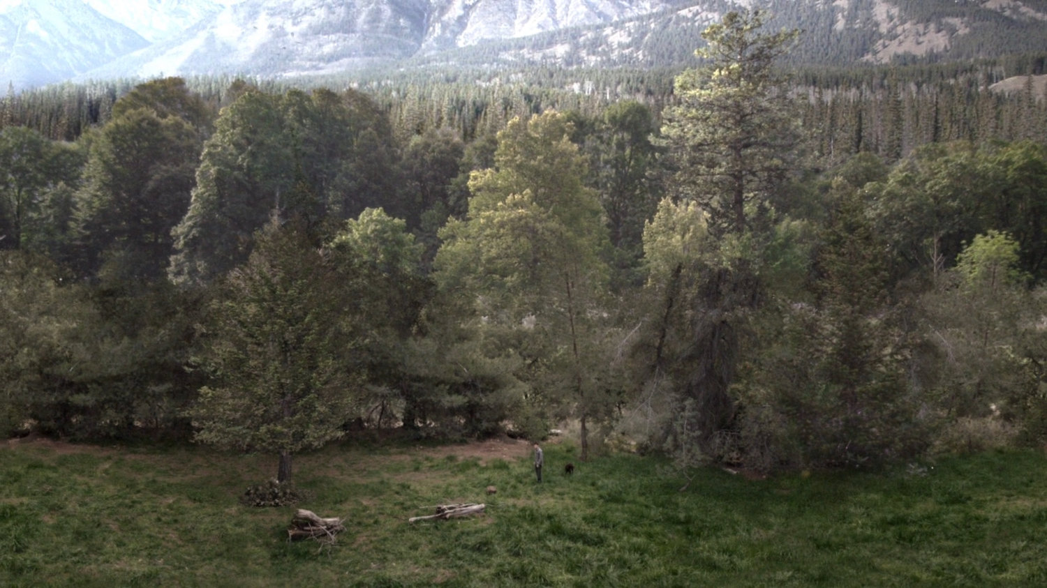 Woods, Wyoming | MCU: Location Scout