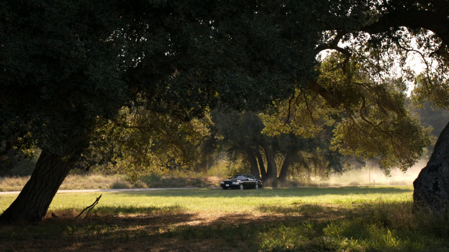 A car pulling up to a clearing in a field.