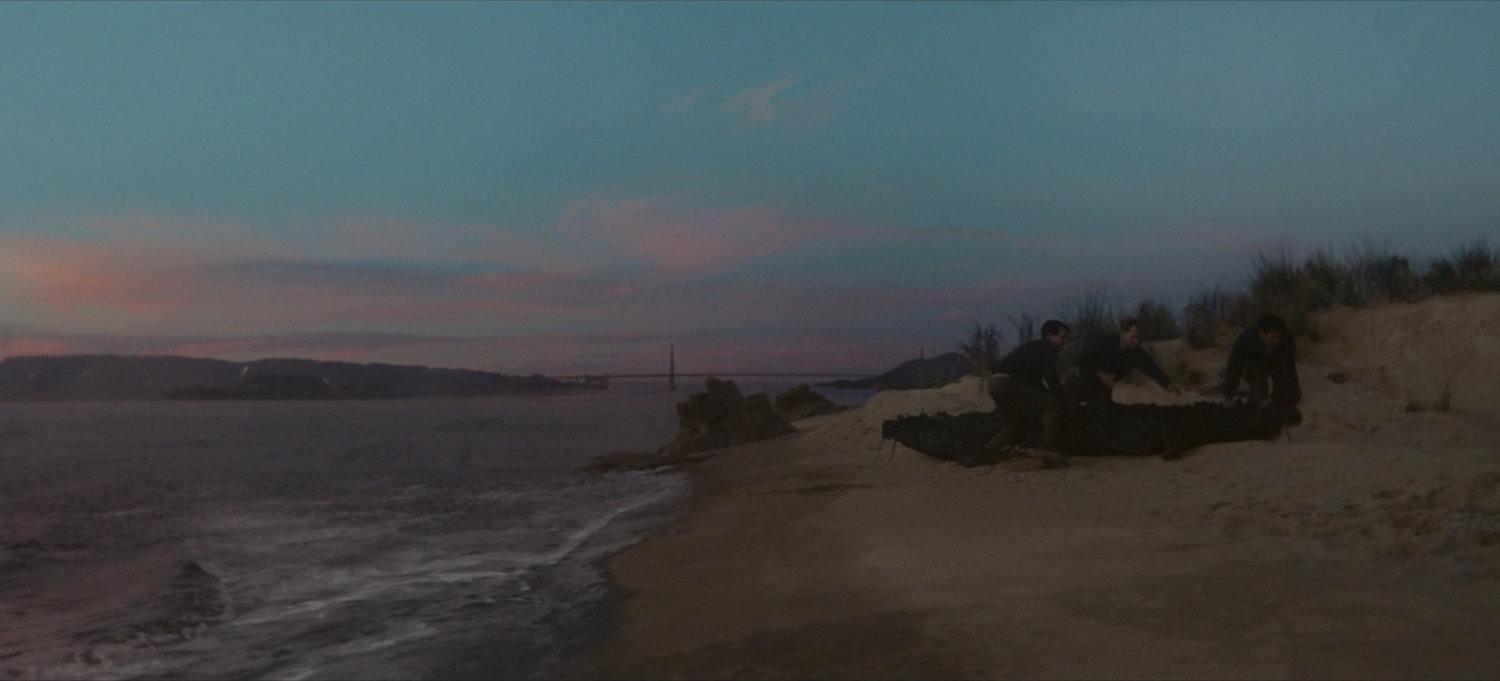 Beach in San Francisco Bay.