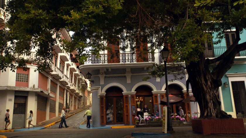 A San Juan street and buildings with a large tree.