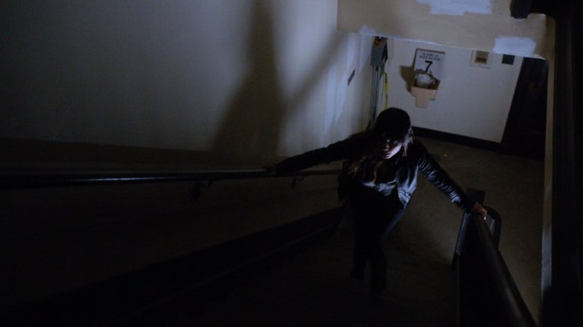 Skye runs up stairway in an old Milwaukee building.