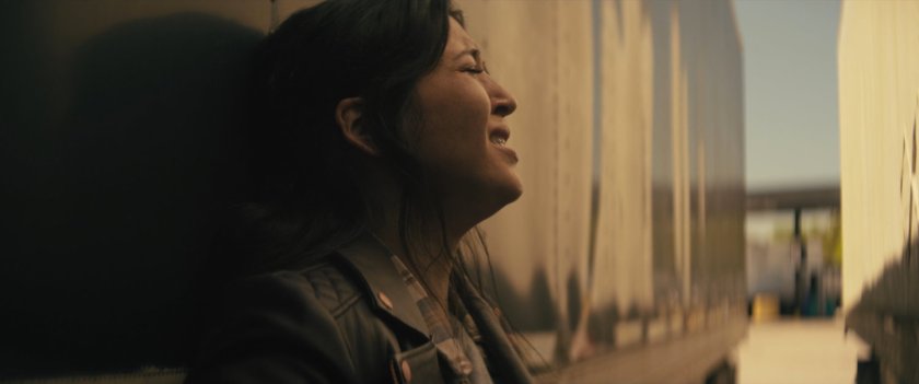 Maya between two semi trailers.