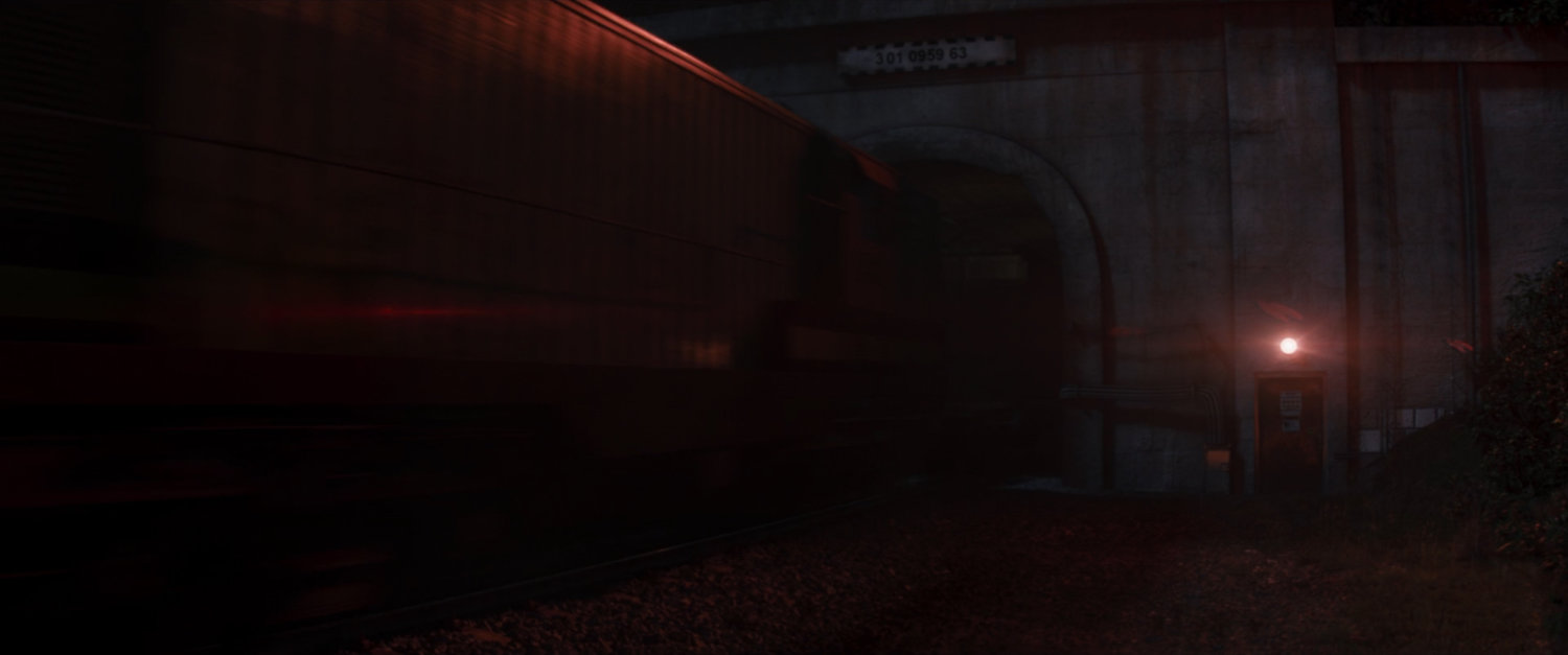 Train driving into tunnel.