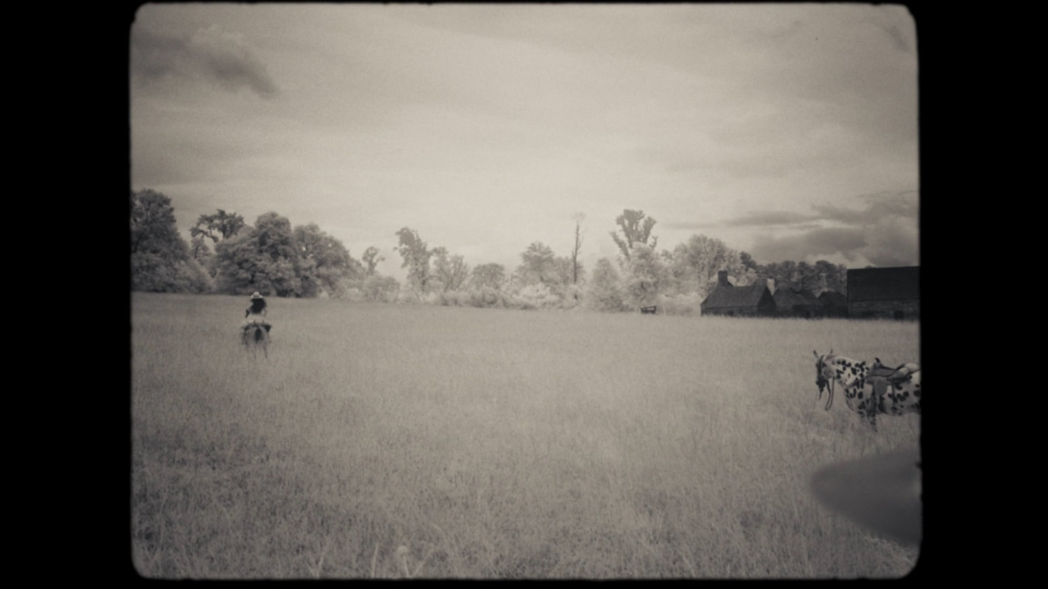 Field with person on horse.