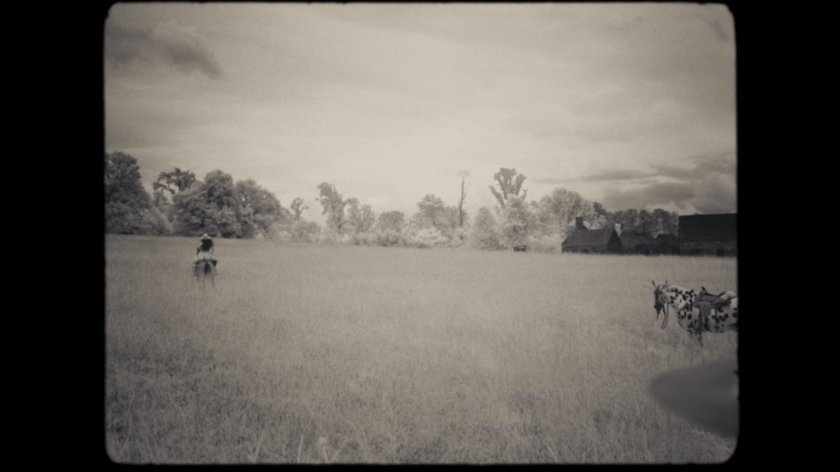 Field with person on horse.