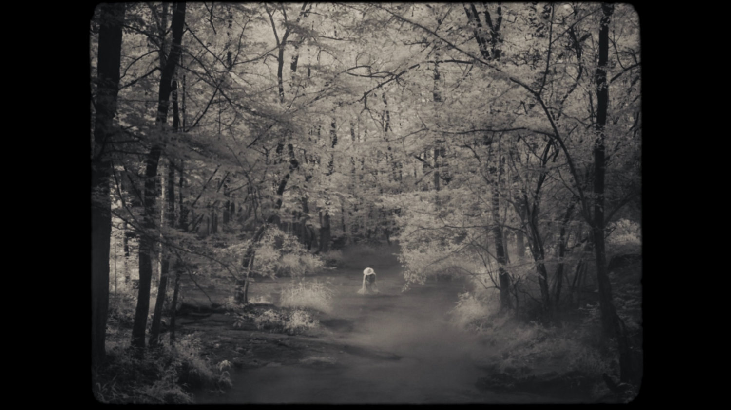 Tuklo in wooded stream.