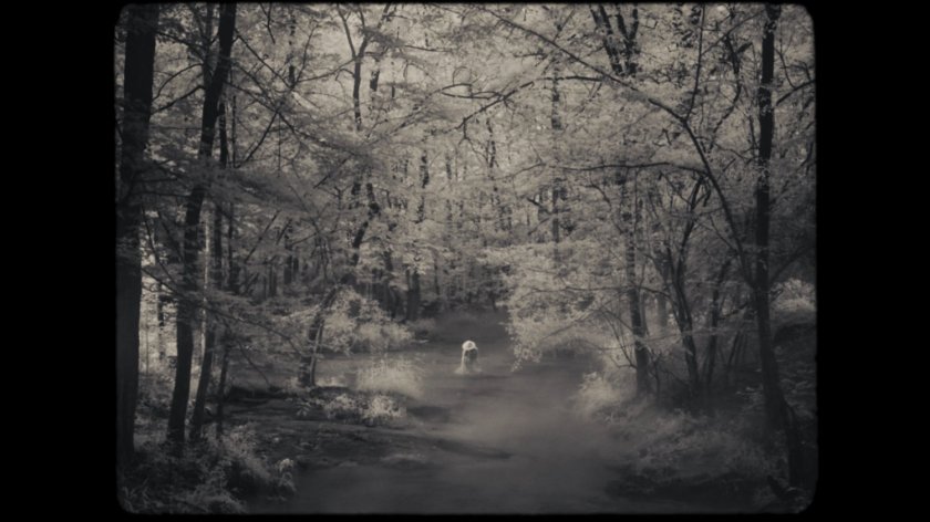 Tuklo in wooded stream.