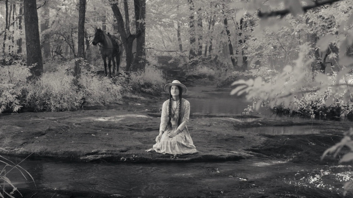 Tuklo in wooded stream.