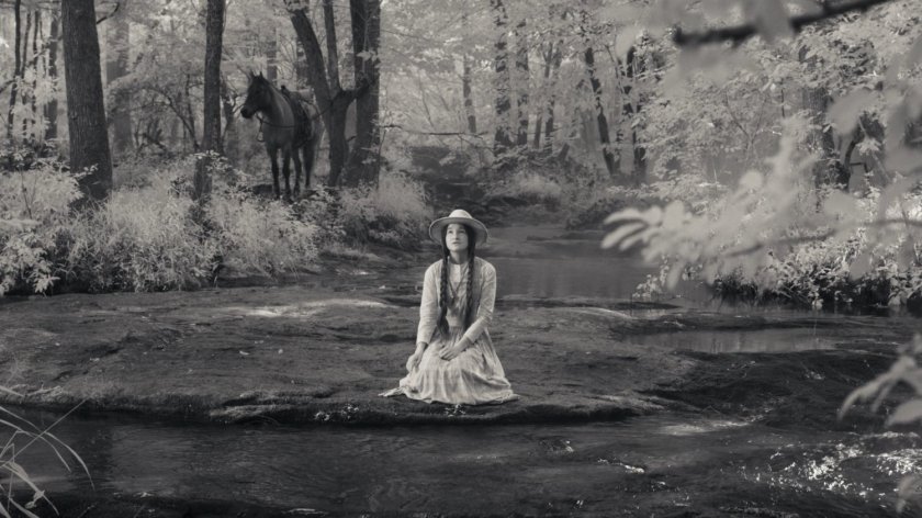 Tuklo in wooded stream.