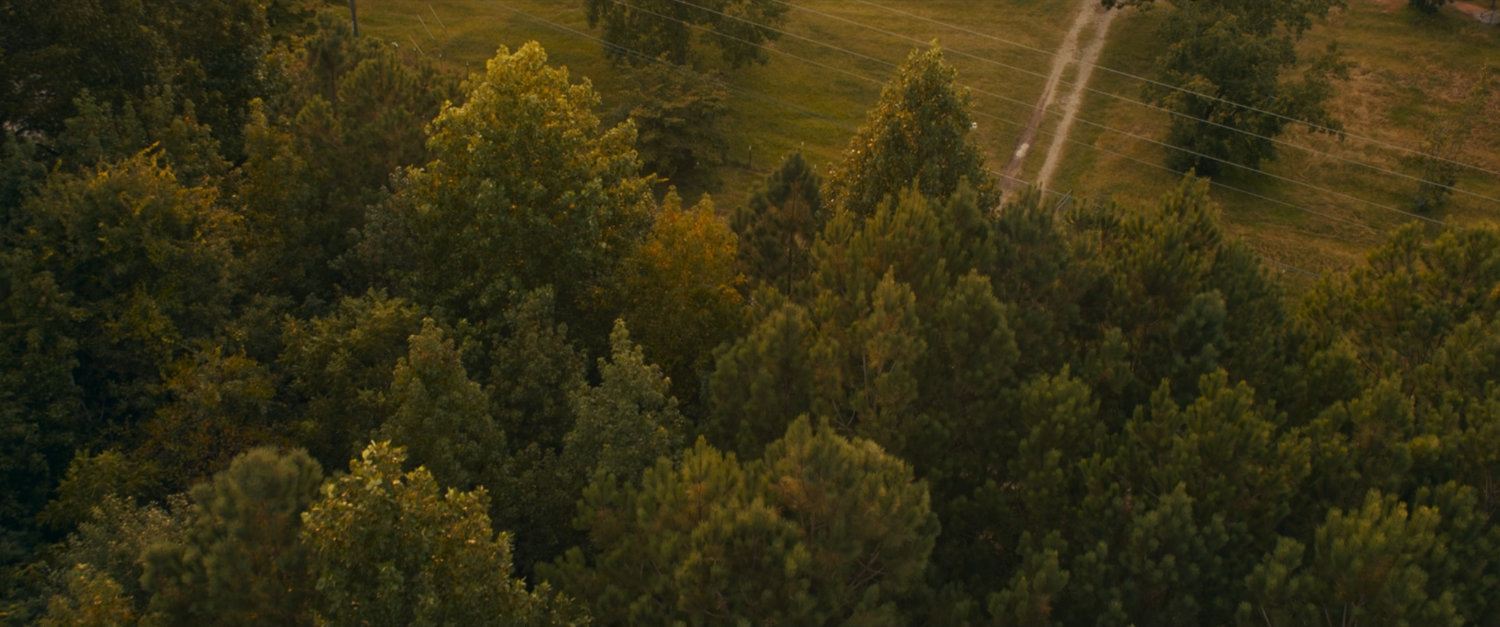 Aerial view of Lopez House.