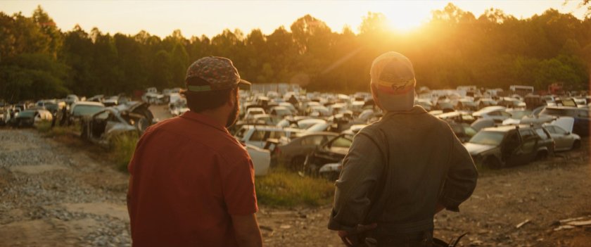 Biscuits and Woody survey a salvage yard of abandoned cars.