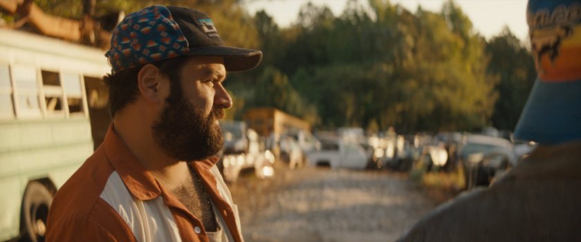 Biscuits surveys a salvage yard of abandoned cars.