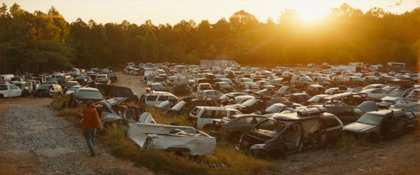 Biscuits walks into a salvage yard of abandoned cars.