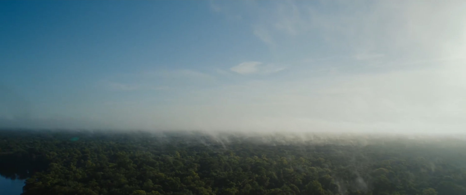Aerial view of Louisiana.