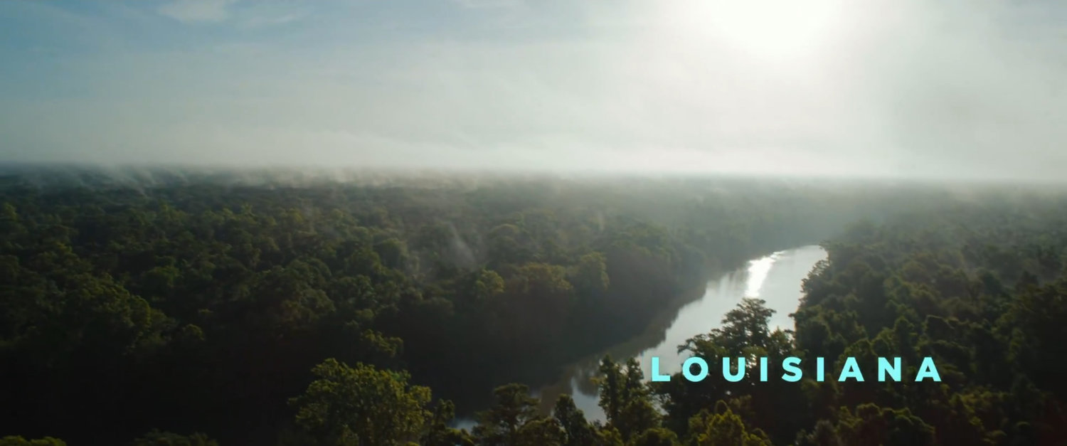 Aerial view of Louisiana.