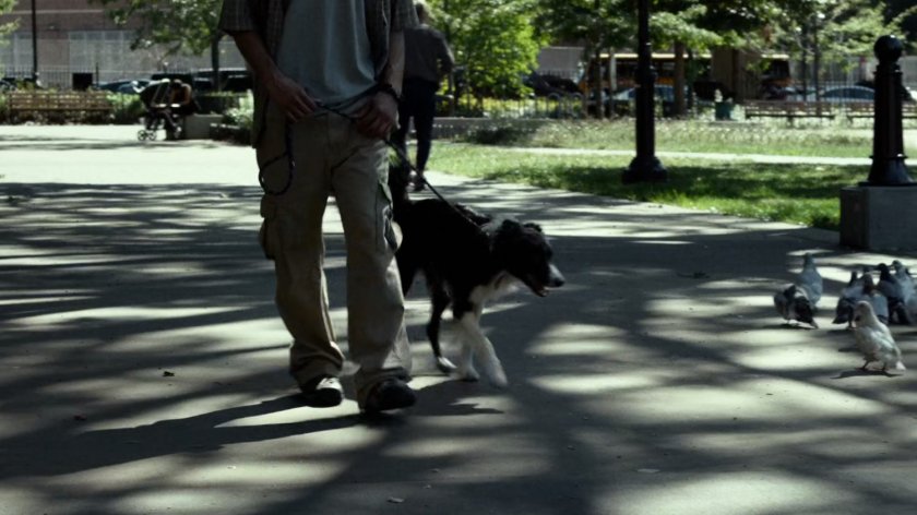 A man and his dog in a city park.