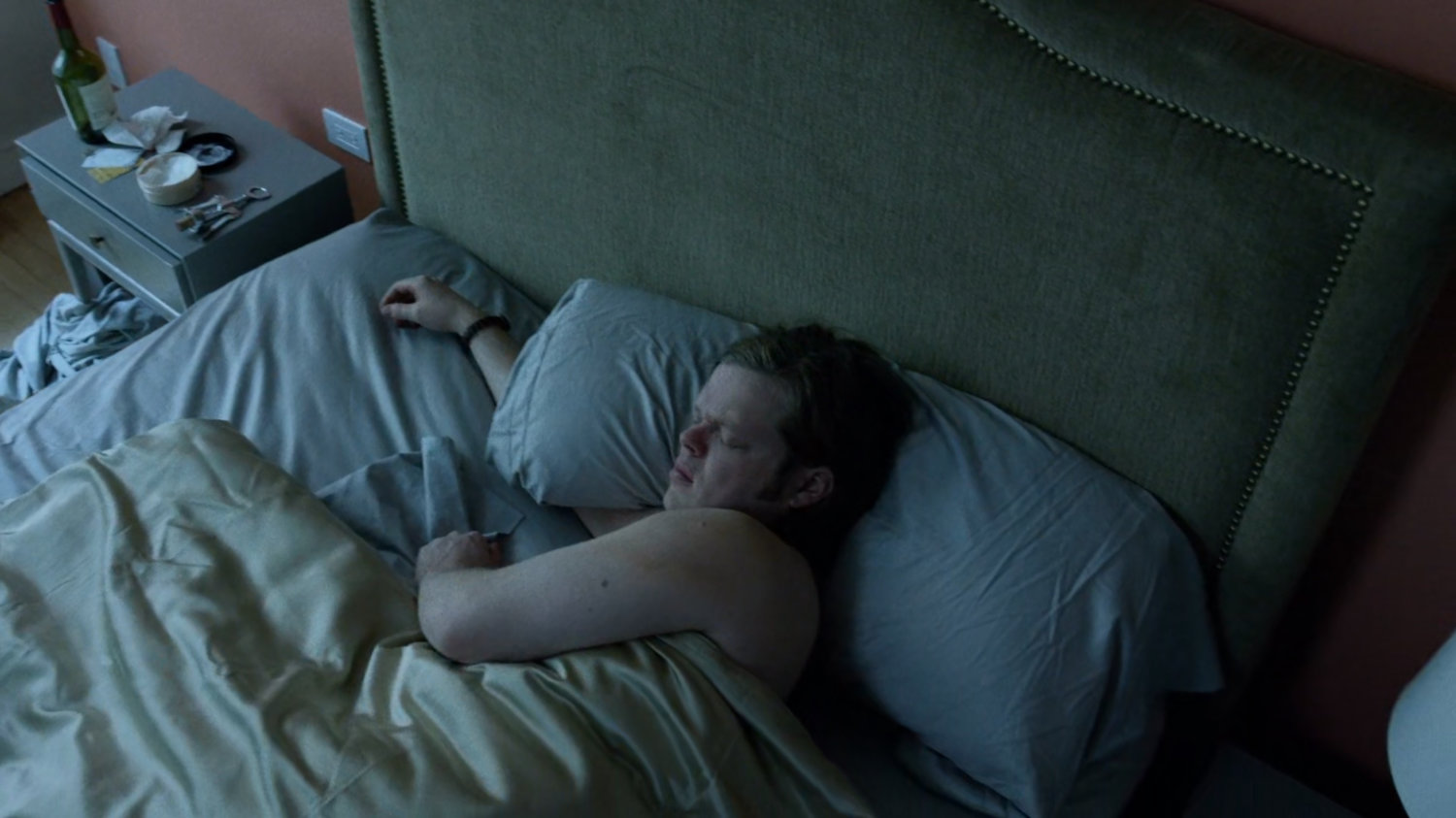Foggy asleep in Marcie Stahl apartment.