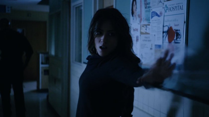 Daisy in hospital hallway.