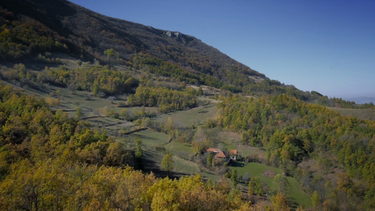 Aerial view of Malick's Estate.