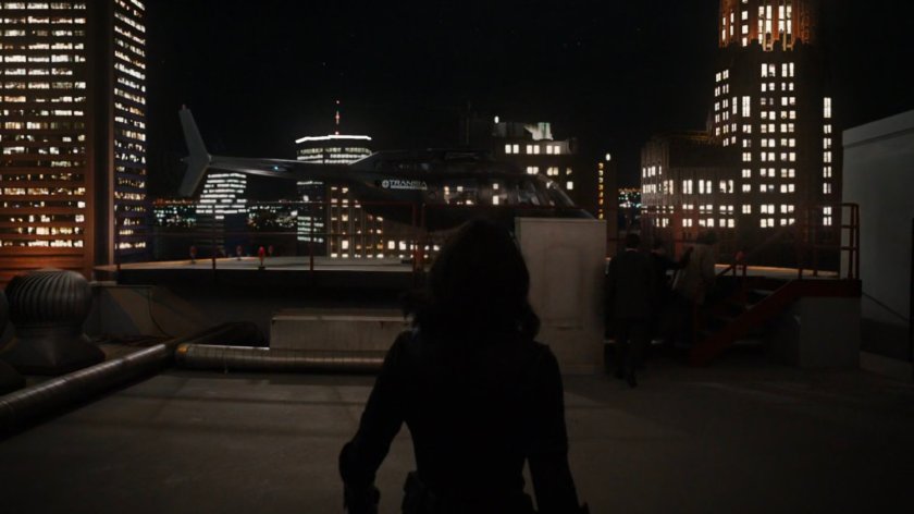 Daisy on rooftop of Transia Corporation.