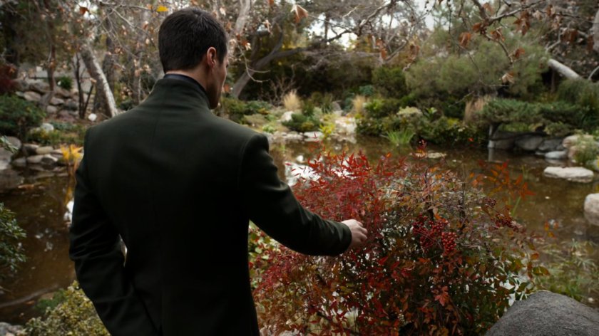 Hive standing by a bush near a pond.