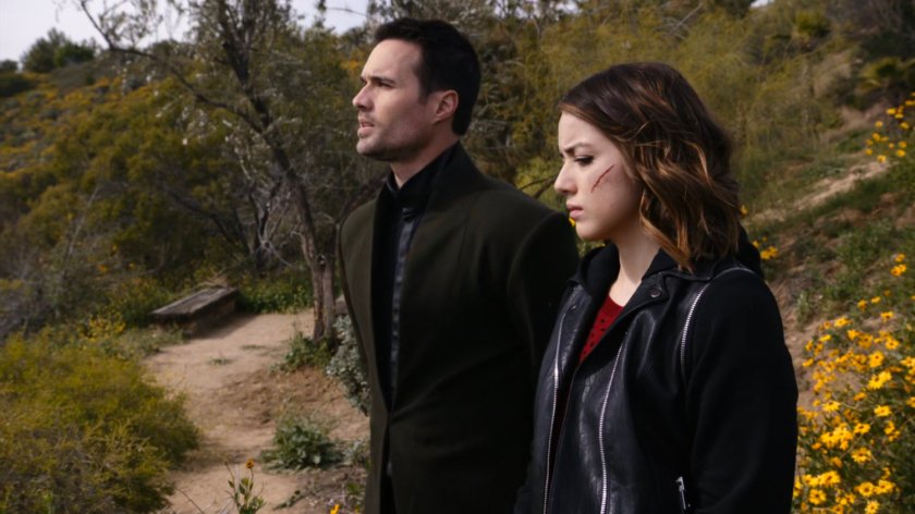 Hive and Daisy on hill with trail and foliage behind them.