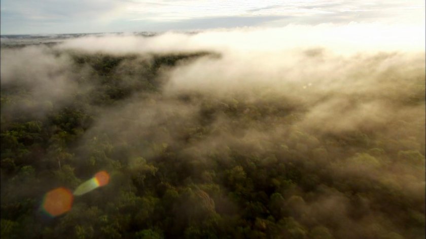 Aerial over pre-historic Central America.