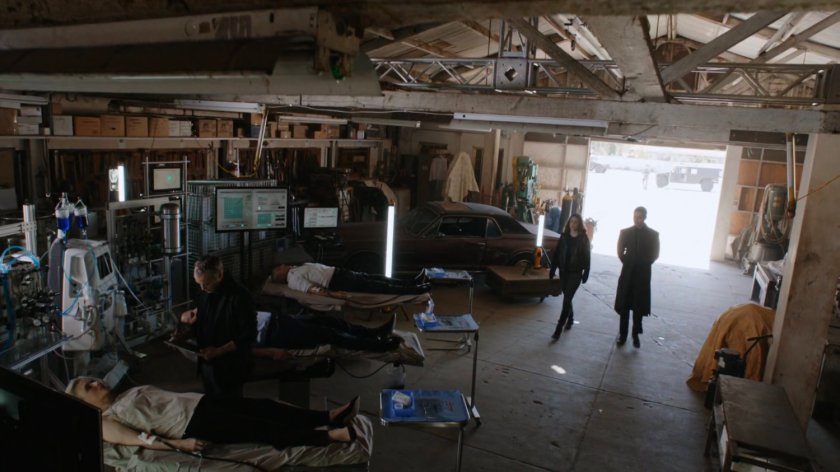 Daisy and Hive in Union City Garage.