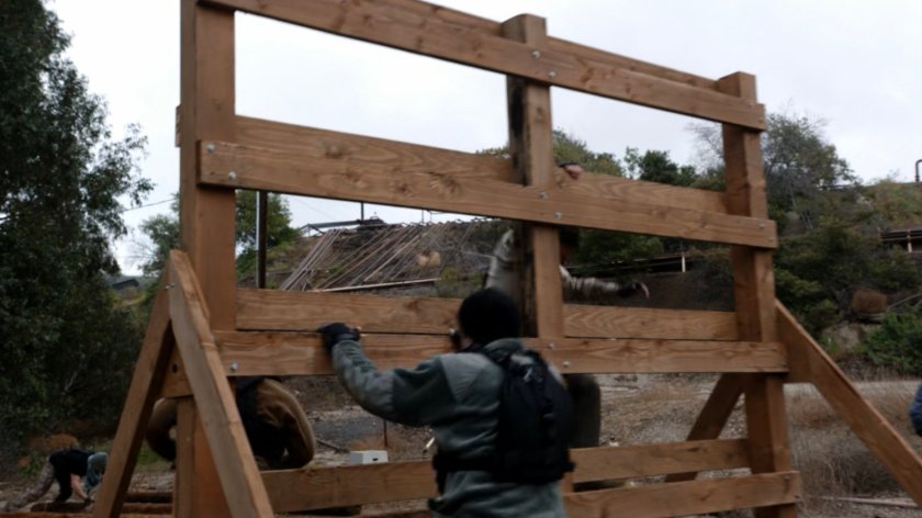 Watchdog trainees on an obstacle course.