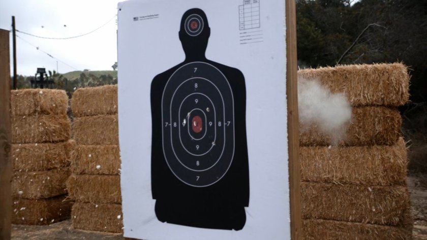 A watchdog target getting shot.