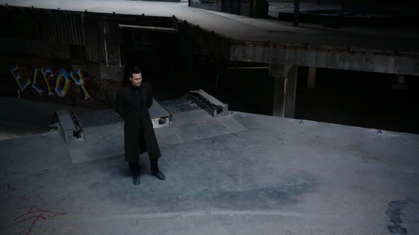 Hive inside of an abandoned shopping mall.