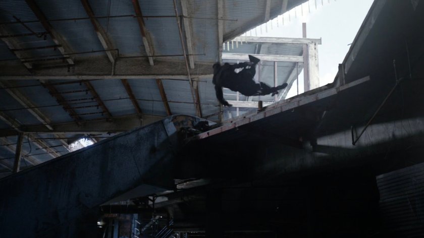 Hive falling off second floor of abandoned mall.