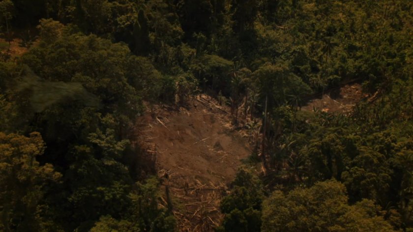 A clearing on a Pacific island.