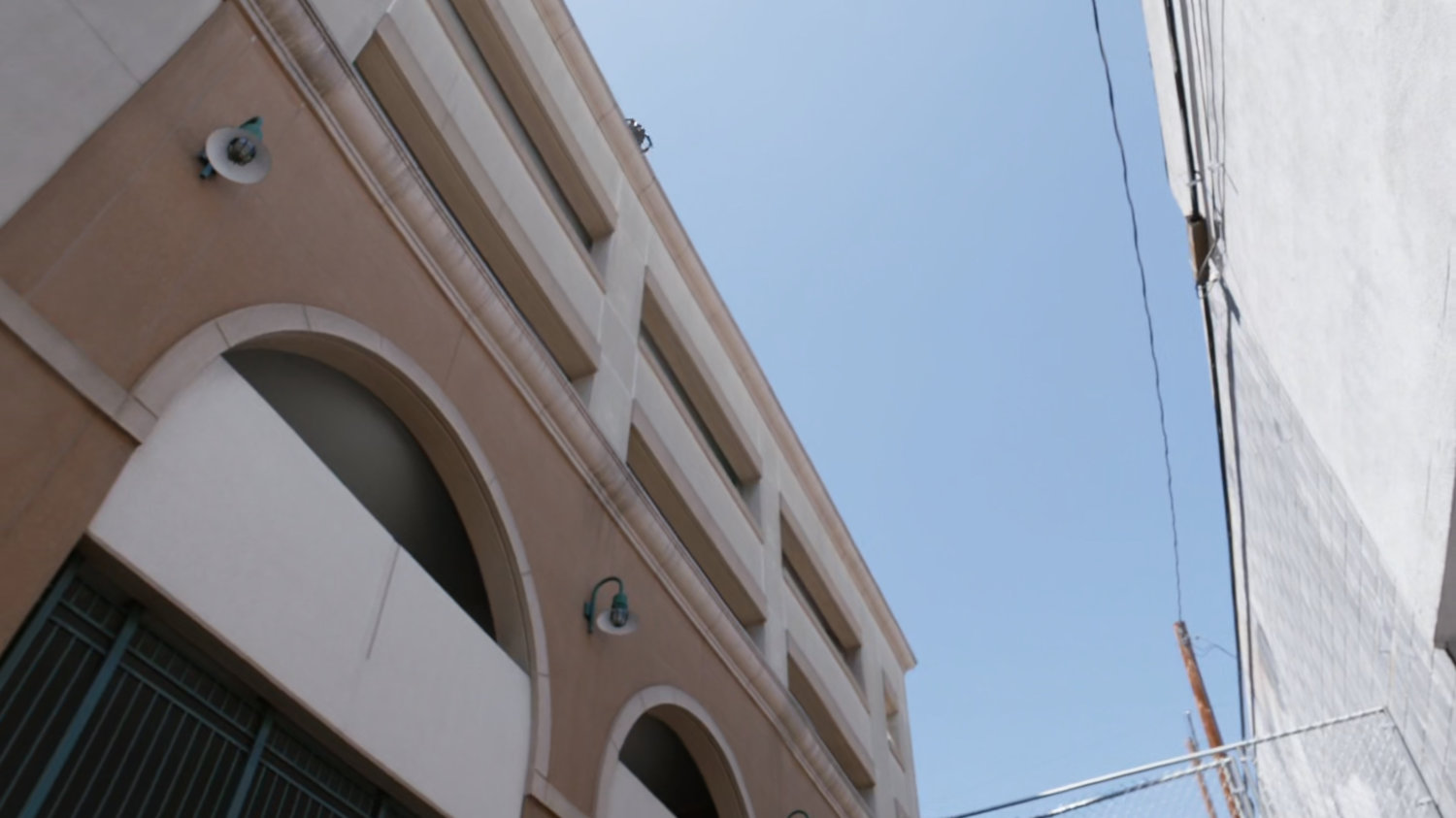 Daisy leaping onto building next to alley.