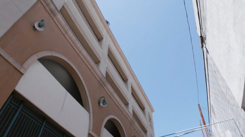 Daisy leaping onto building next to alley.