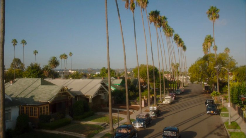A palm lined street outside Jason Wilkes house.
