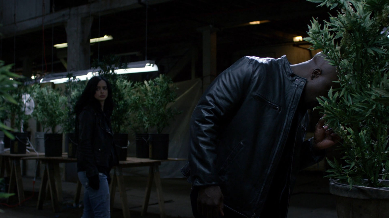 Luke and Jessica checking out the pot farm inside a warehouse.