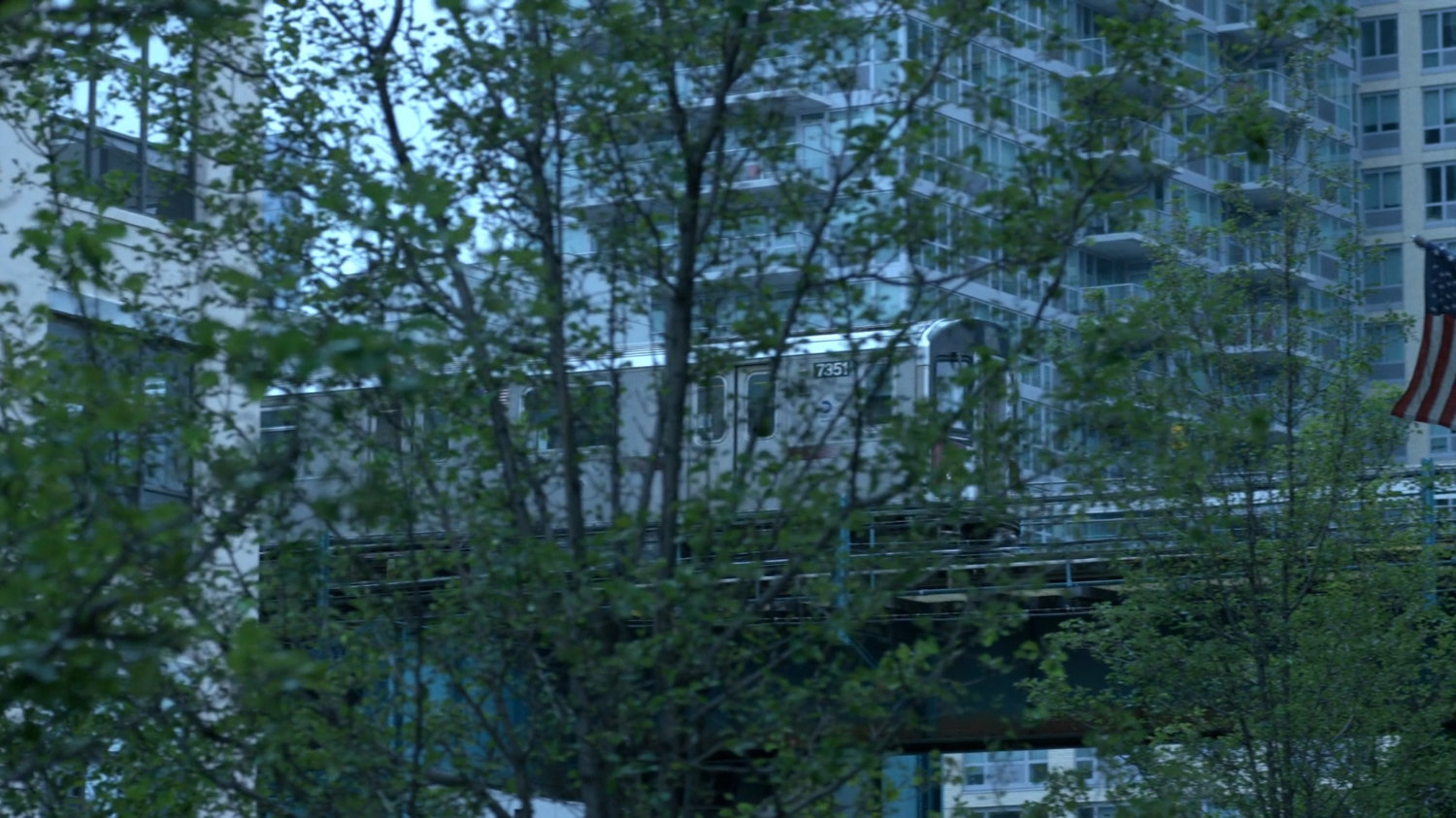 Elevated train traveling behind trees.