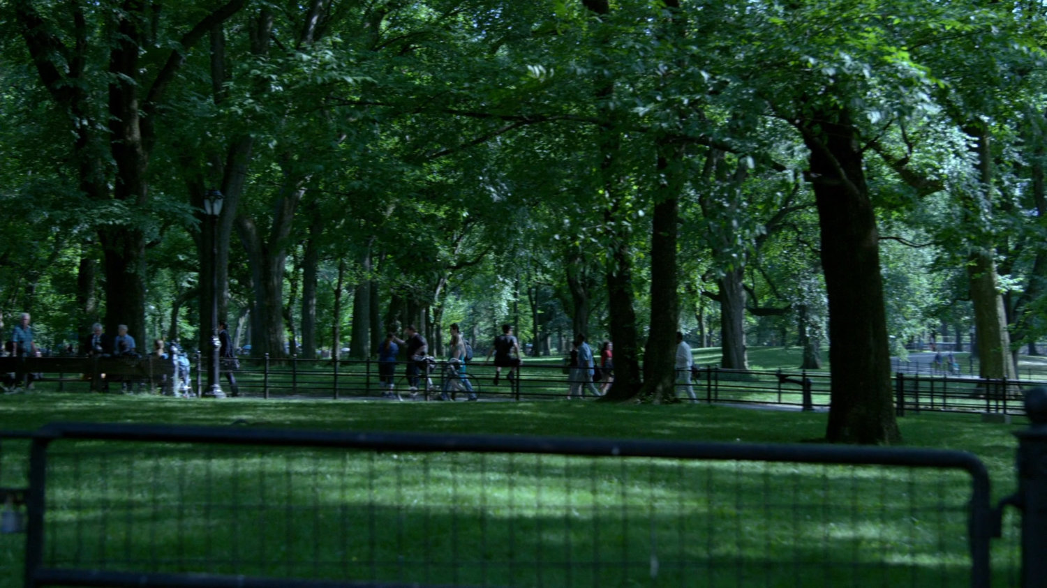 Wide shot of Zalk courier walking through Central Park.