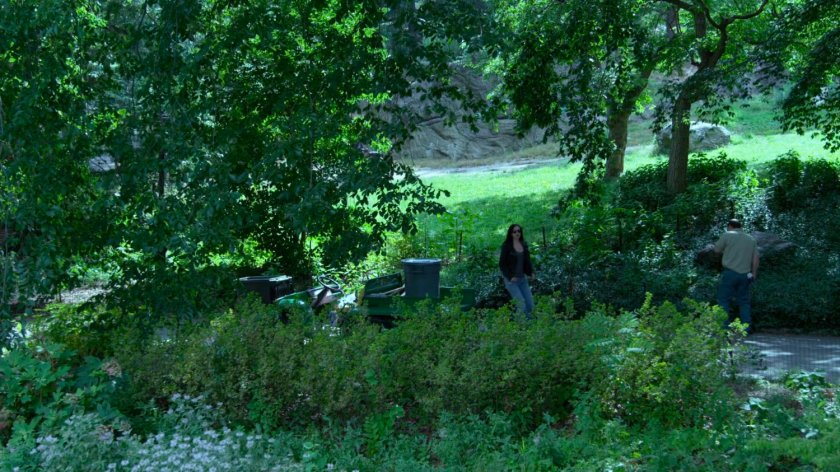 Jessica on pathway in Central Park.