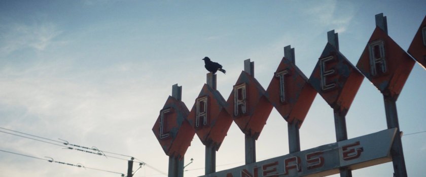 Raven on top of sign outside Madame Calderu's Psychic Readings store.