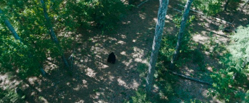 Agatha runs through New England woods, in 1750.