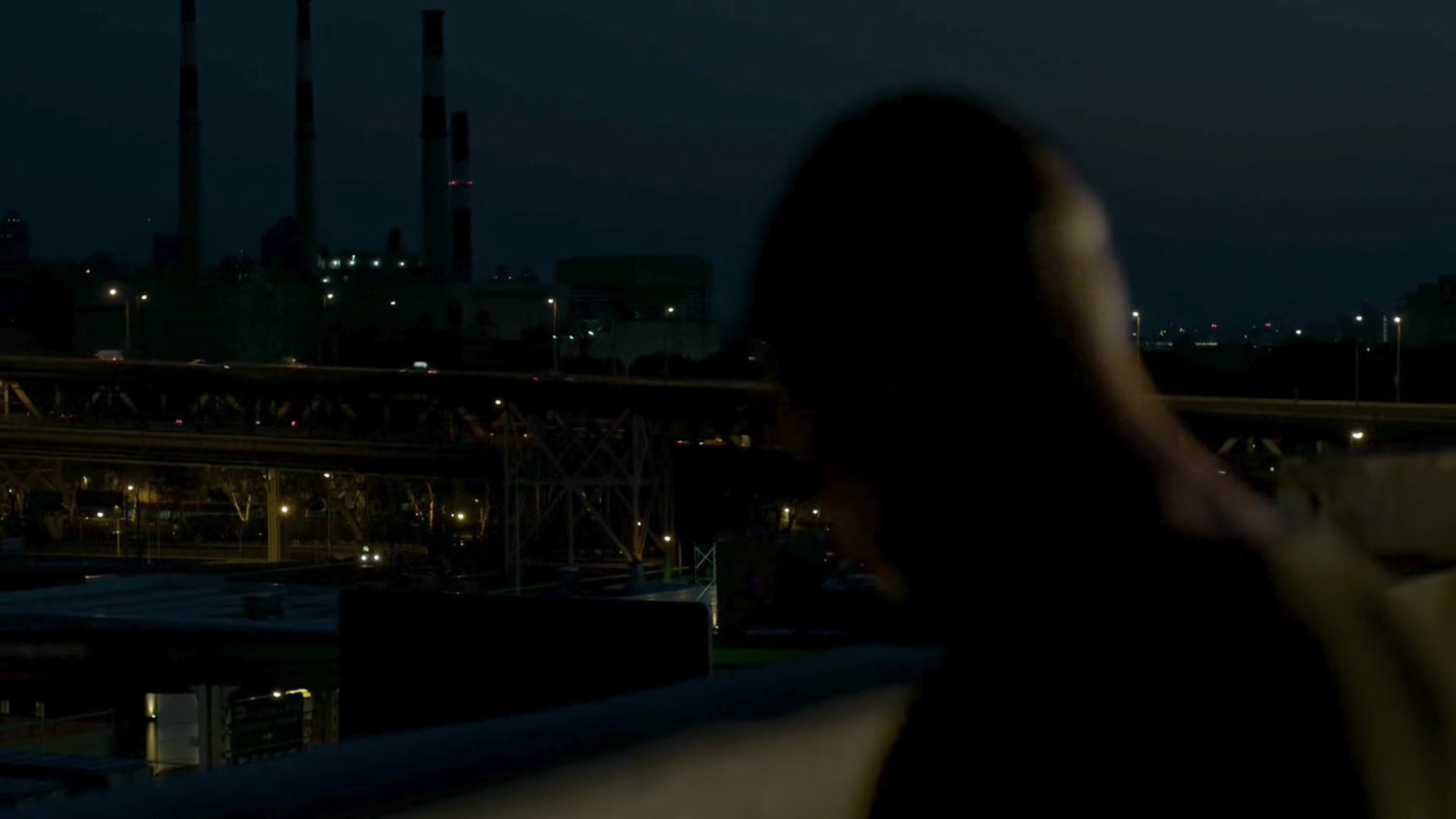 Frank looking out over dark city from rooftop.