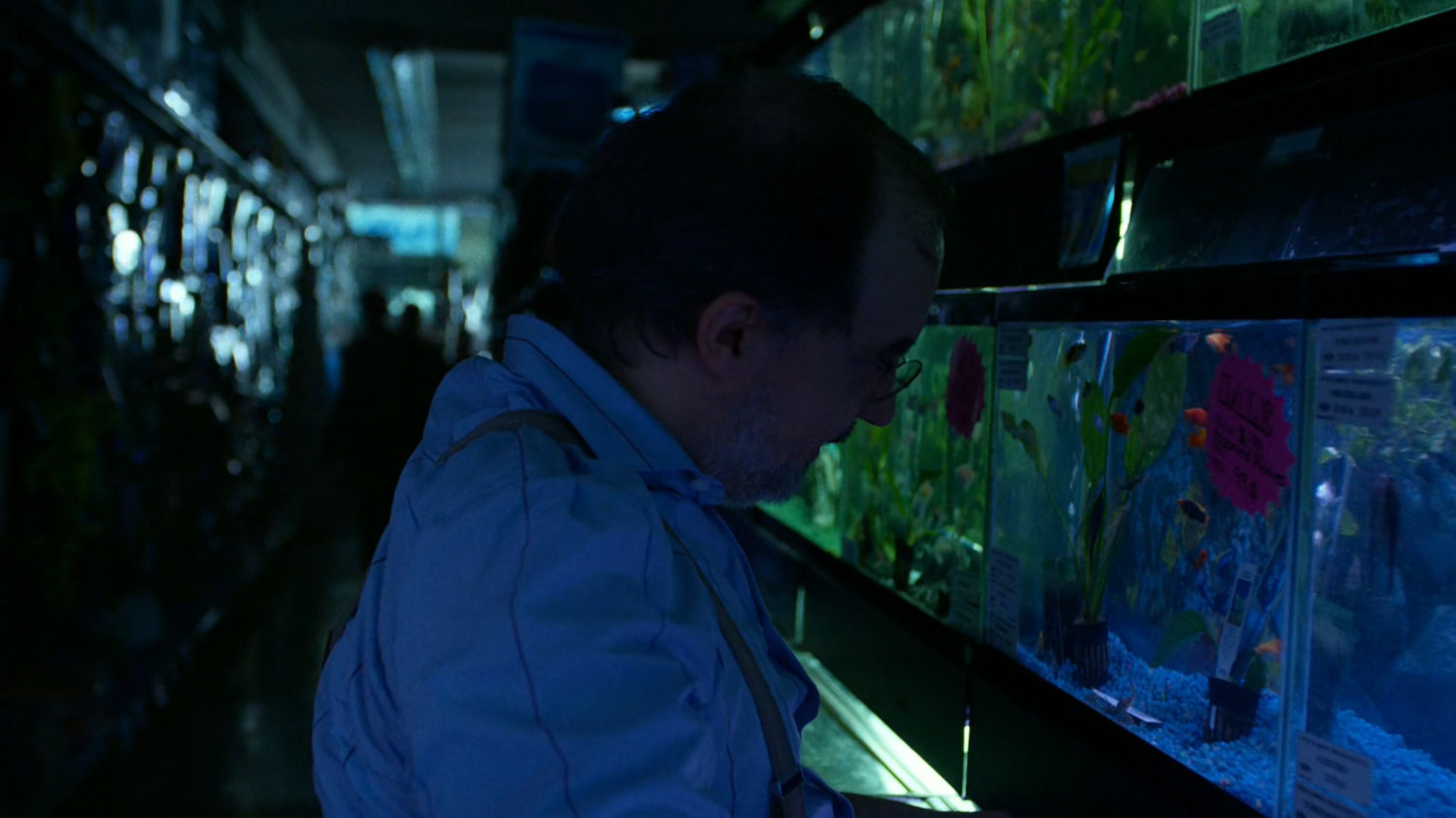 Pet Store, New York | MCU: Location Scout